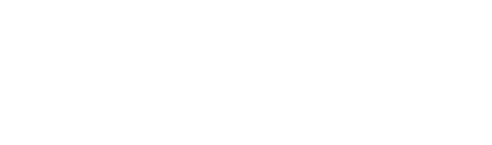 TornCorp logo
